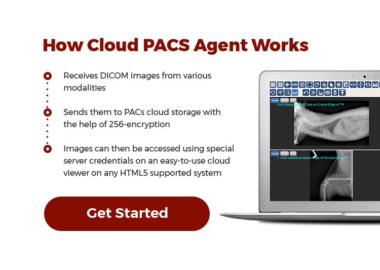 How Cloud PACS Works