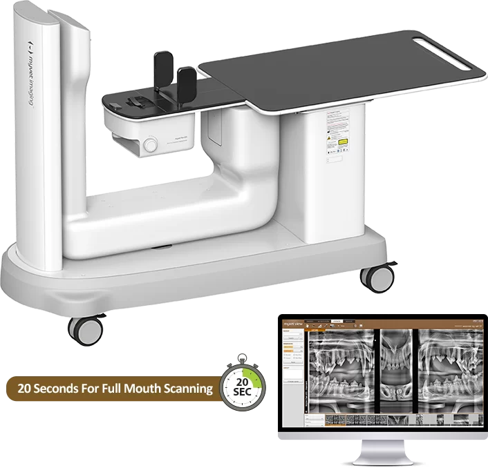 Veterinary Dental Systems