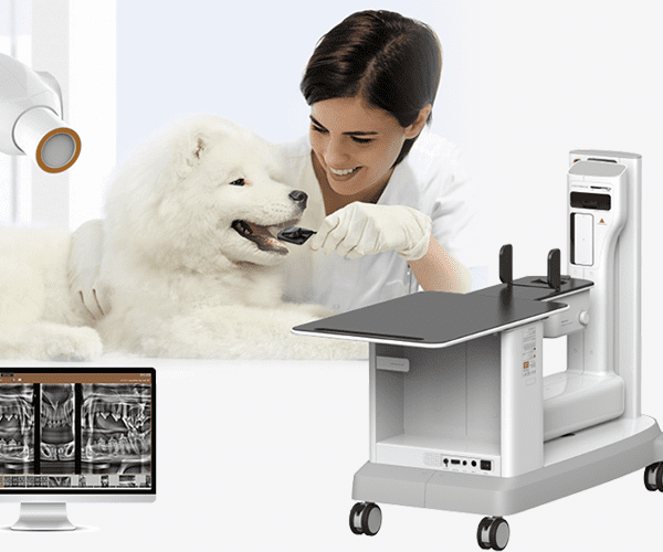 Taking Veterinary Dental To A New Level