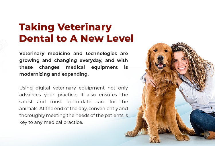 veterinary-dental-newlevel