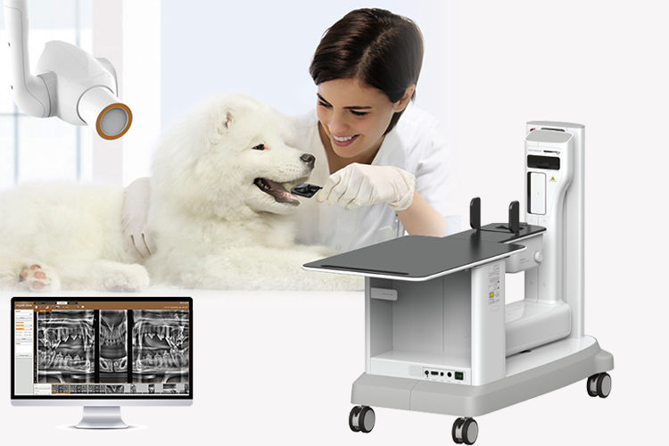 Taking Veterinary Dental To A New Level