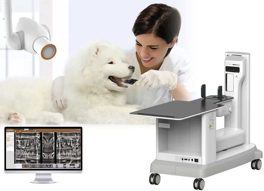 Veterinary Dental Systems